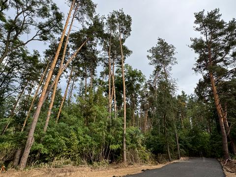 участок по адресу 