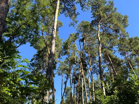 участок по адресу 