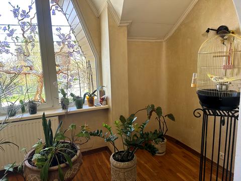 дом по адресу Свободи ул.