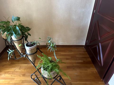 дом по адресу Свободи ул.