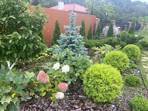 дом по адресу Олександрівська, 27