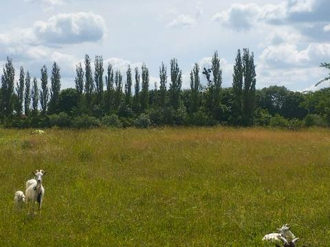 ділянка за адресою Верхня Нагірна, 39а