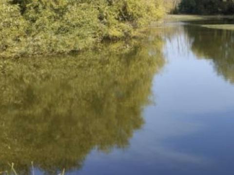 ділянка за адресою Верхня Нагірна, 39а