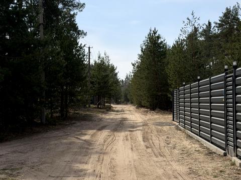 ділянка за адресою с. Свидівок, Соснова