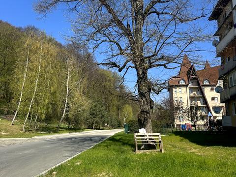 квартира за адресою Анатолія Голика, 150