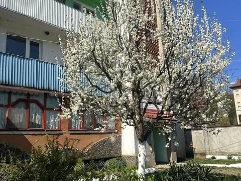 квартира за адресою Анатолія Голика, 150