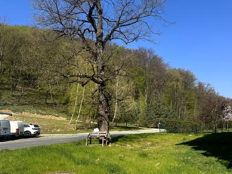 квартира за адресою Анатолія Голика, 150