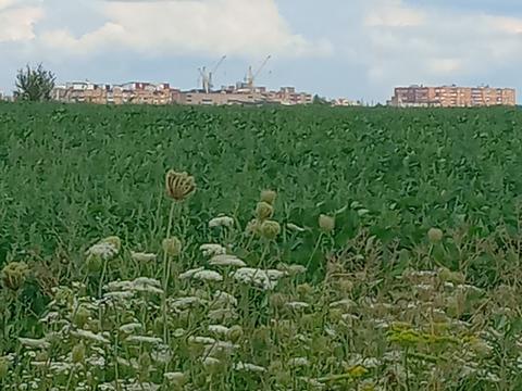 участок по адресу 