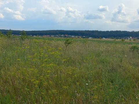 участок по адресу 
