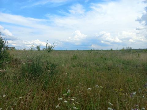 участок по адресу 