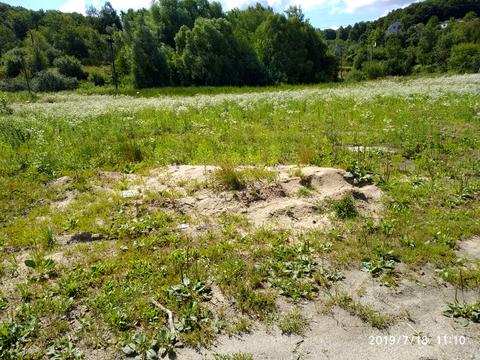 участок по адресу 