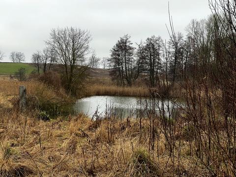 будинок за адресою с. Гавришівка, Озерна, 4