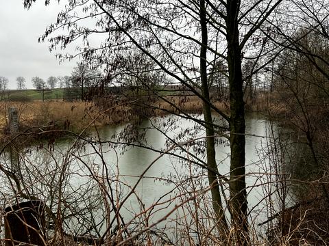 будинок за адресою с. Гавришівка, Озерна, 4