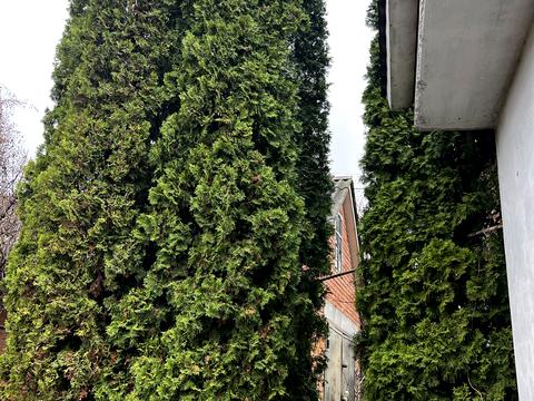 будинок за адресою с. Гавришівка, Озерна, 4