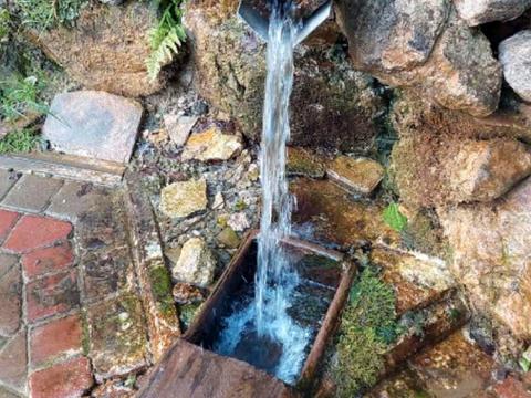 будинок за адресою Заболотна