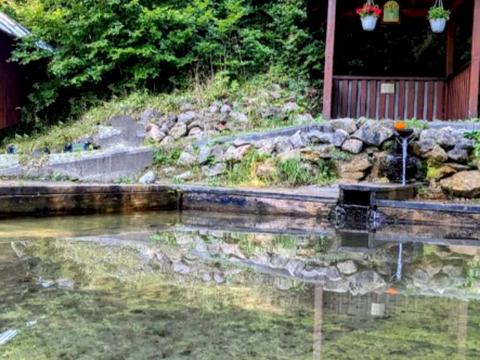 будинок за адресою Заболотна