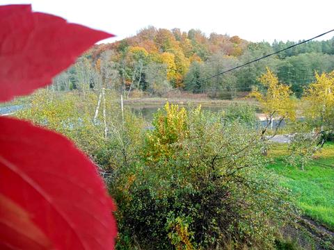 будинок за адресою Заболотна