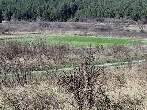 будинок за адресою Героїв України вул. (конєва)