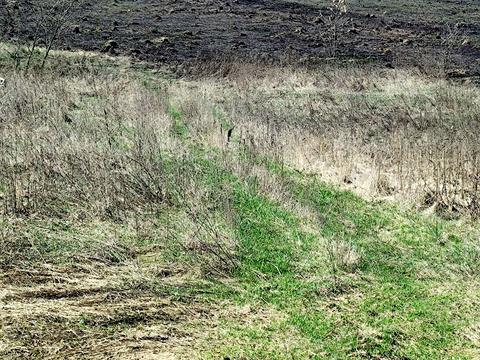 будинок за адресою Героїв України вул. (конєва)