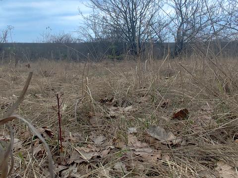 будинок за адресою Героїв України вул. (конєва)