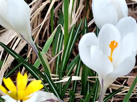 будинок за адресою Героїв України вул. (конєва)