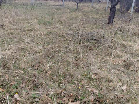 будинок за адресою смт. Солоницівка, Енергетична вул.