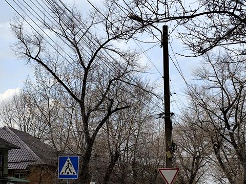 квартира за адресою Олександра Кошиця вул. (Караваєва), 15