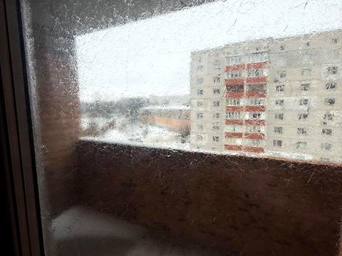 квартира за адресою Кам'янецька вул., (Будинок)