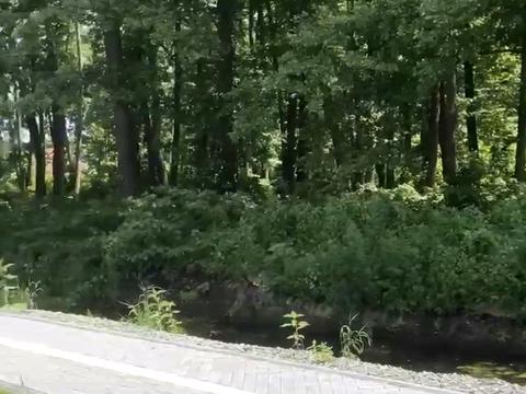 квартира по адресу Київська ул., 10-В, к.5