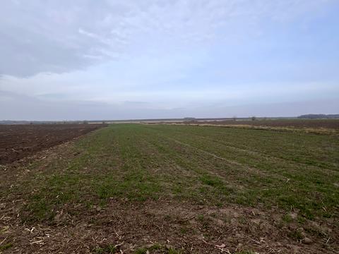 ділянка за адресою 