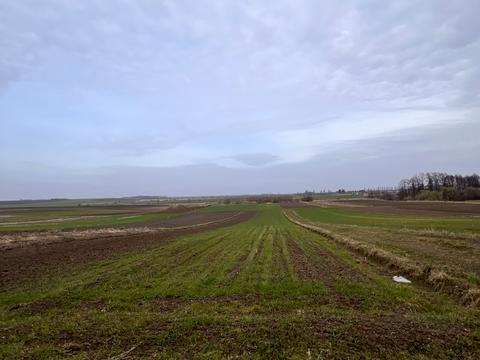 ділянка за адресою 