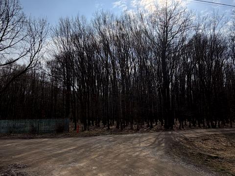 дом по адресу Бічна Івана Мазепи, 1