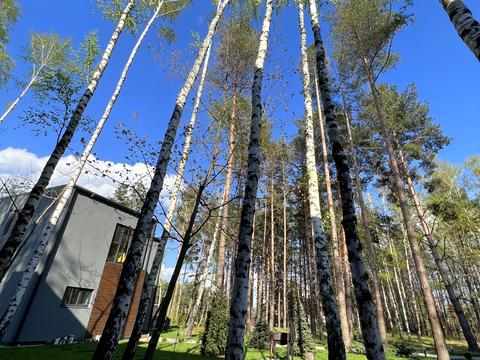 будинок за адресою с. Лебедівка, Набережна вул.