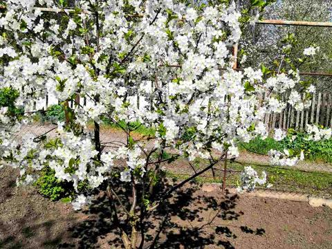 будинок за адресою Героїв 37-го батальйону вул.