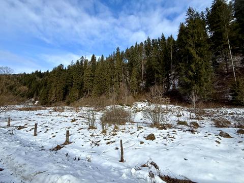 ділянка за адресою Шевченка