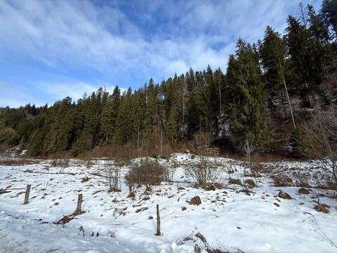 ділянка за адресою Шевченка