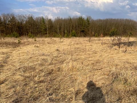 ділянка за адресою с. Селище, Леонтовича