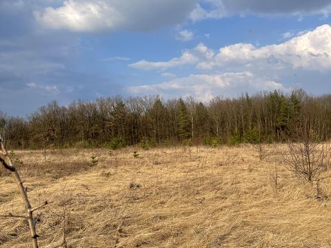 ділянка за адресою с. Селище, Леонтовича