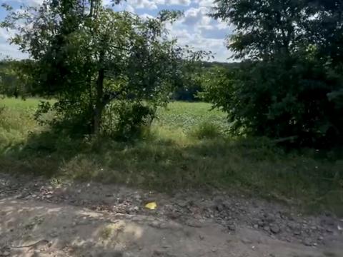 дом по адресу Медова