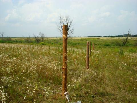 ділянка за адресою с. Ясногородка, 