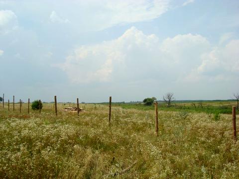 ділянка за адресою с. Ясногородка, 