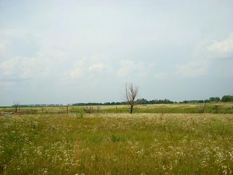 ділянка за адресою с. Ясногородка, 