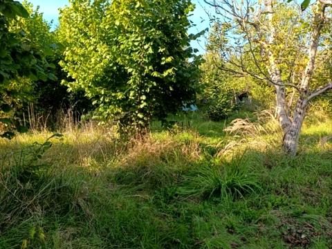 участок по адресу 