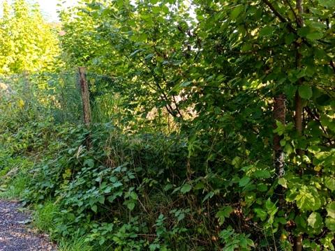 участок по адресу 