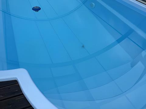 будинок за адресою Садова вул., 61