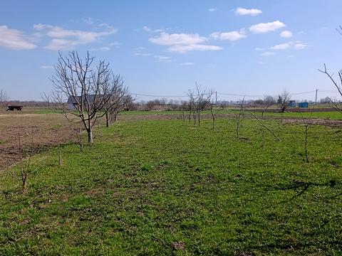будинок за адресою Центральна