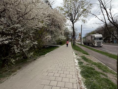 комерційна за адресою Городоцька вул., 210