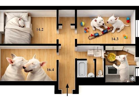 квартира по адресу Свободы просп., 26-А