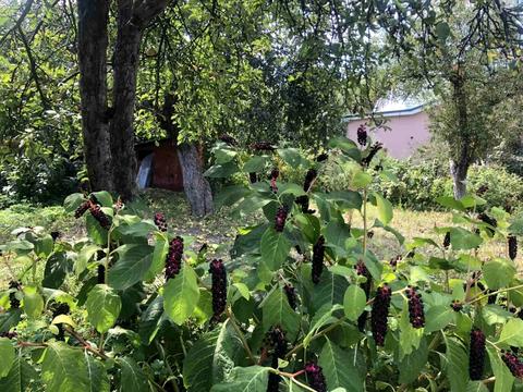 дом по адресу Планетарная ул.