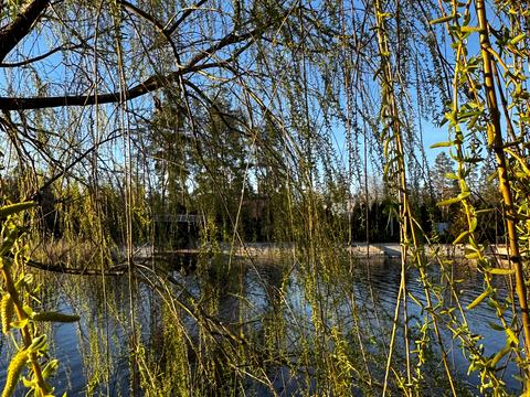 ділянка за адресою Садова